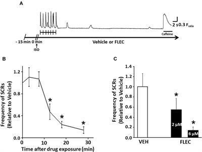 Efficacy of Flecainide in Catecholaminergic Polymorphic Ventricular Tachycardia Is Mutation-Independent but Reduced by Calcium Overload